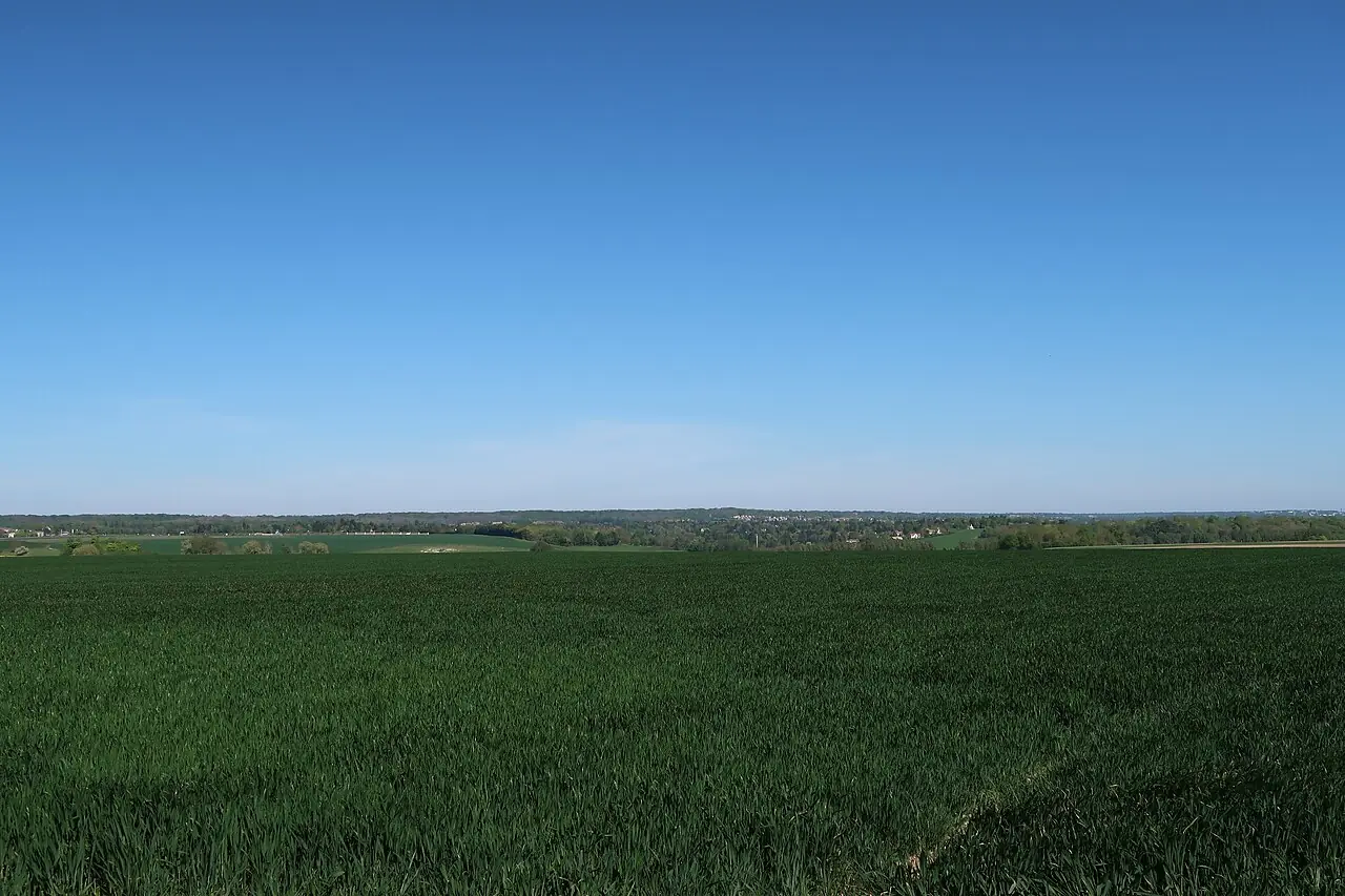 Les champs de la plaine de Versailles à Chavenay, rue des Clayes