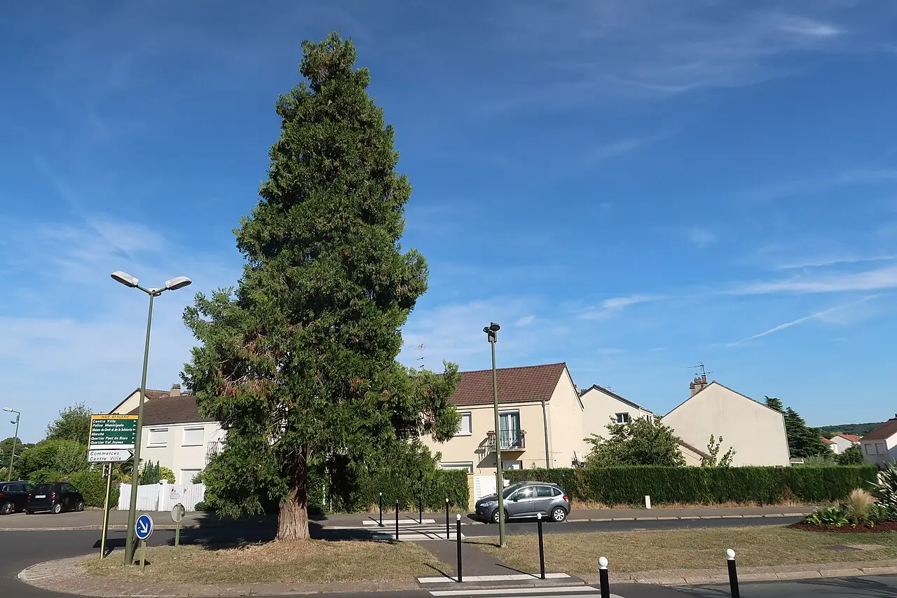 Avenue d'Anjou, dans le quartier de la Haie-Bergerie à Villepreux